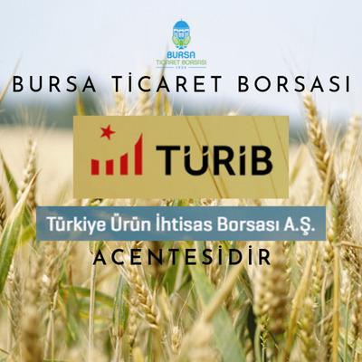 Türkiye Ürün İhtisas Borsası'na Kayıt İşlemleri