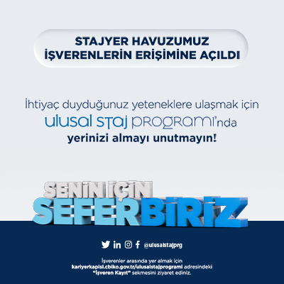 Ulusal Staj Programı